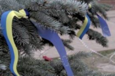 В Херсоне на площади свободы начали устанавливать новогоднюю елку 2015 nachali-ustanavlivat-novogodnyuyu-elku-2015