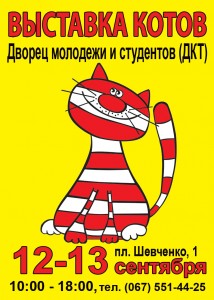  Херсоне пройдет международная выставка кошек v-xersone-projdet-mezhdunarodnaya-vystavka-koshek