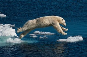 Тающая Арктика может стать не только природной но и экономической катастрофой инфографика tayushhaya-arktika-mozhet-stat-ne-tolko-prirodnoj-no-i-ekonomicheskoj-katastrofoj-1