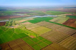 posle-raspaevaniya-selxozzemel-v-ukraine После распаевания сельхозземель в Украине более 100 тысяч человек получат обещанную 20 лет назад землю март 2016 года