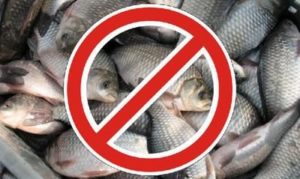 Запрет на рыбалку в акватори Херсона и Херсонской области в 2016 годуzapret-na-rybalku-v-akvatori-xersona-i-xersonskoj-oblasti-v-2016-godu