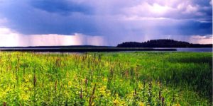 Погода в Украине 23 июня 2016 года ожидается теплая погода местами грозы pogoda-v-ukraine-23-iyunya-2016-goda-ozhidaetsya-teplaya-pogoda-mestami-grozy-1