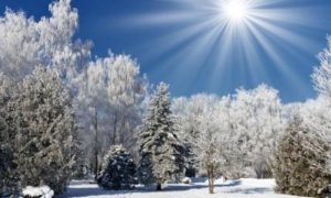 Сегодня 21 декабря день зимнего солнцестояния