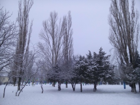 Зима снег в 24 школе города Херсона Украина январь 2017 года Просто очень красиво