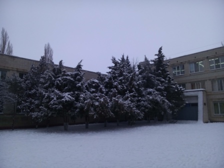 Зима снег в 24 школе города Херсона Украина январь 2017 года Просто очень красиво