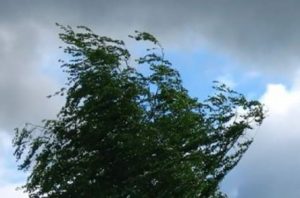 Увага Попередження про грозові дощі та пориви вітру по всій території Україні 28 серпня 2017 року