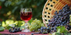Диетологи указали на уникальные свойства осеннего винограда