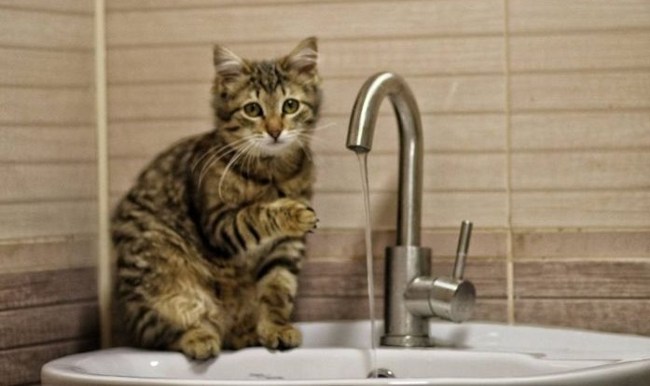 О применении норм пользования услугами водоснабжения и водоотведения в Херсоне