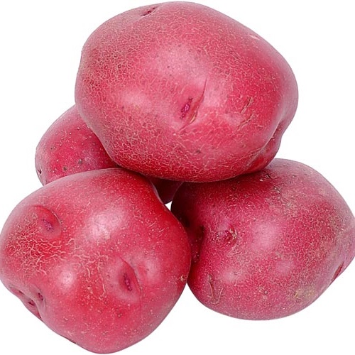 Характеристика сортов картофеля