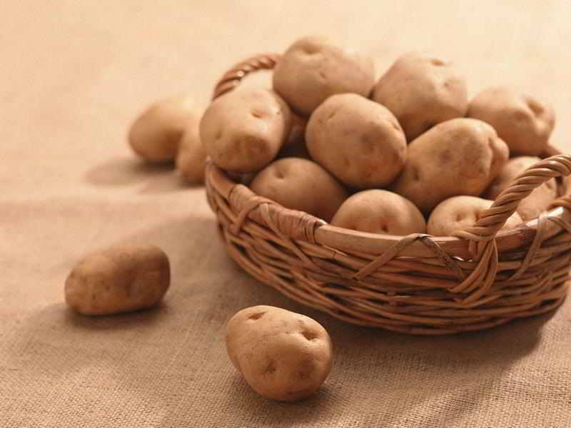 Озвучені перші прогнози урожаю картоплі 2017 року