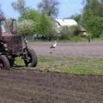 Аграрний комітет ВР України підтримав продовження мораторію на продаж землі до 2019 року