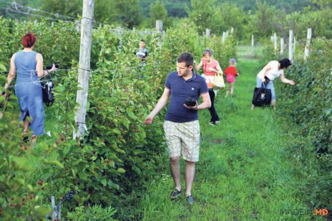 Украина экзотическая из за перемен климата фермеры начинают выращивать нестандартные культуры