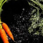 Морковь овощ на каждый день сколько и как есть для здоровья