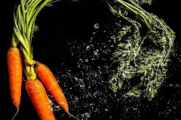 Морковь овощ на каждый день сколько и как есть для здоровья