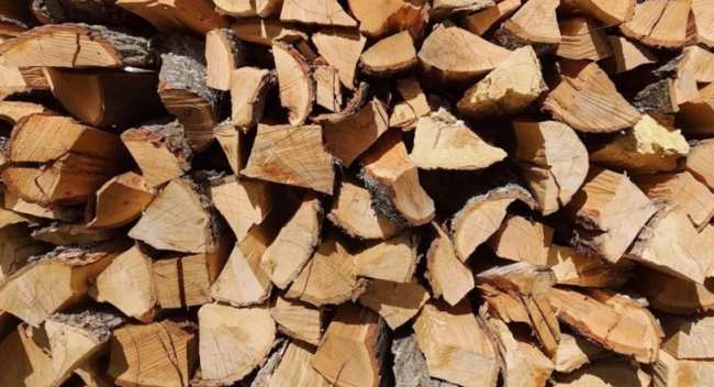 В уряді розповіли як українцям отримати безкоштовні дрова