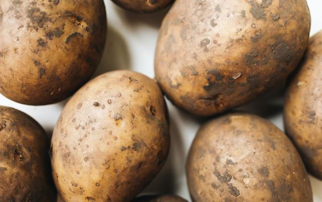 Зростають ціни на картоплю Україна почала імпортувати продукт з Польщі Литви та Латвії