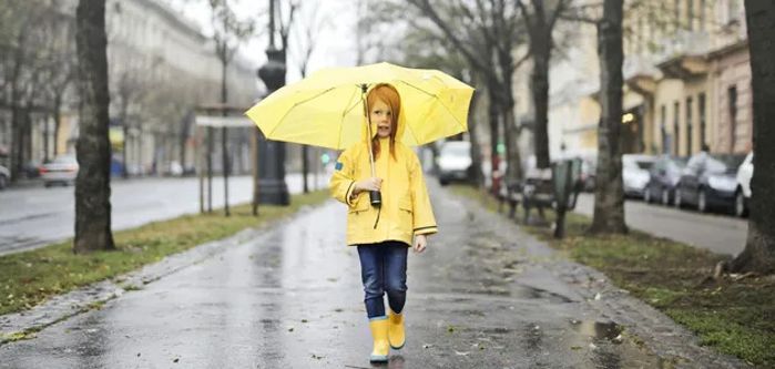 Часть Украины накроют дожди синоптики озвучили подробный прогноз на начало недели Карта