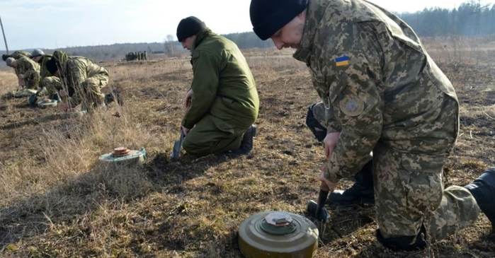 В Украине введут новую высокооплачиваемую профессию что известно