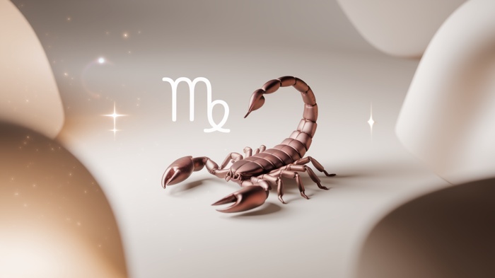 Horoscope for November 17, 2024: What to Expect for Each Zodiac Sign?