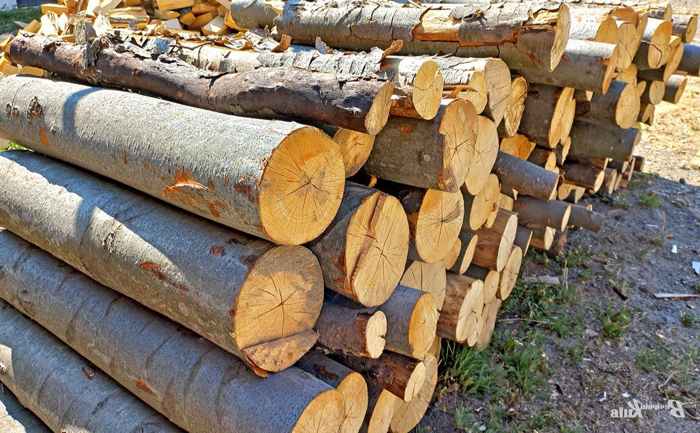 They broke firewood: about fines and criminal liability for storing firewood without documents