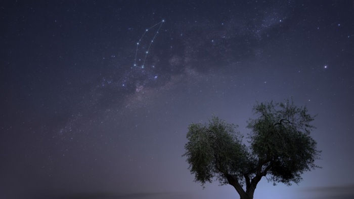 Гороскоп на 23 августа 2025 года: выходной день под влиянием Новолуния