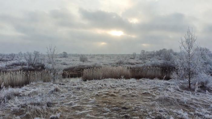Прогноз погоды в Херсоне и Херсонской области на 22 февраля 2026 года