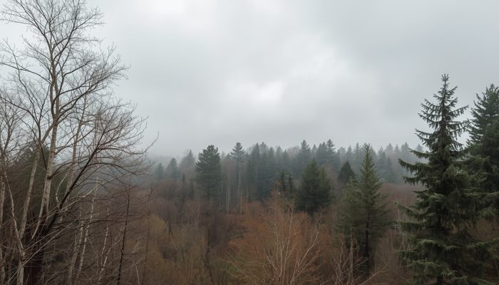 Прогноз погоди в Херсоні та Херсонській області на 2 березня 2026 року