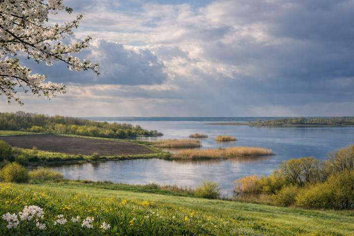 Прогноз погоди у місті Херсоні та Херсонській області на 13 квітня 2026 року